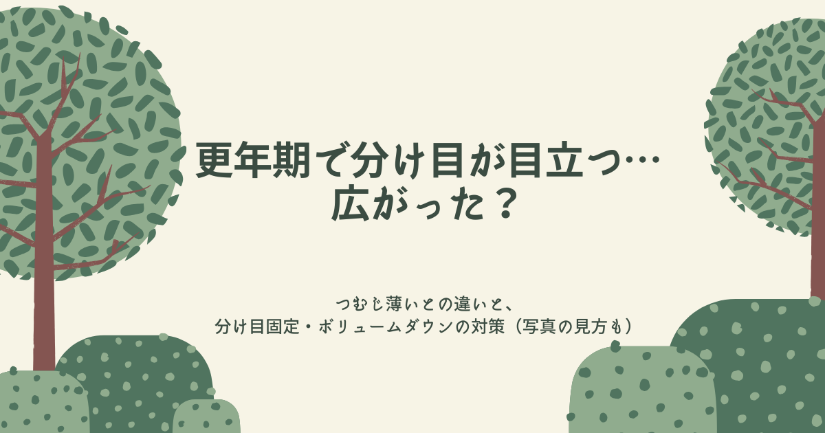 更年期で分け目が目立つ・広がったと感じる人向けに、つむじ薄いとの違いと分け目固定・ボリュームダウン対策(写真の見方)をまとめたアイキャッチ画像