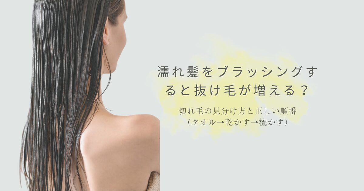 濡れ髪をブラッシングすると抜け毛が増える?切れ毛の見分け方と正しい順番(タオル→乾かす→梳かす)を示したアイキャッチ画像(濡れ髪の女性の後ろ姿)