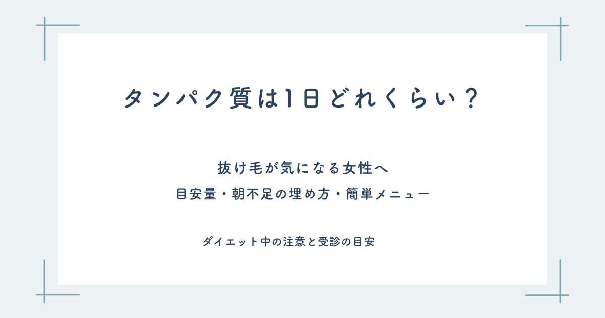 タンパク質は1日どれくらい？抜け毛が気になる女性へ向けたアイキャッチ画像（目安量・朝不足の埋め方・簡単メニュー・ダイエット中の注意・受診の目安）